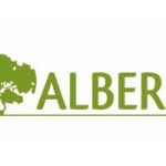 ALBERO