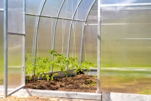 теплица из поликарбоната